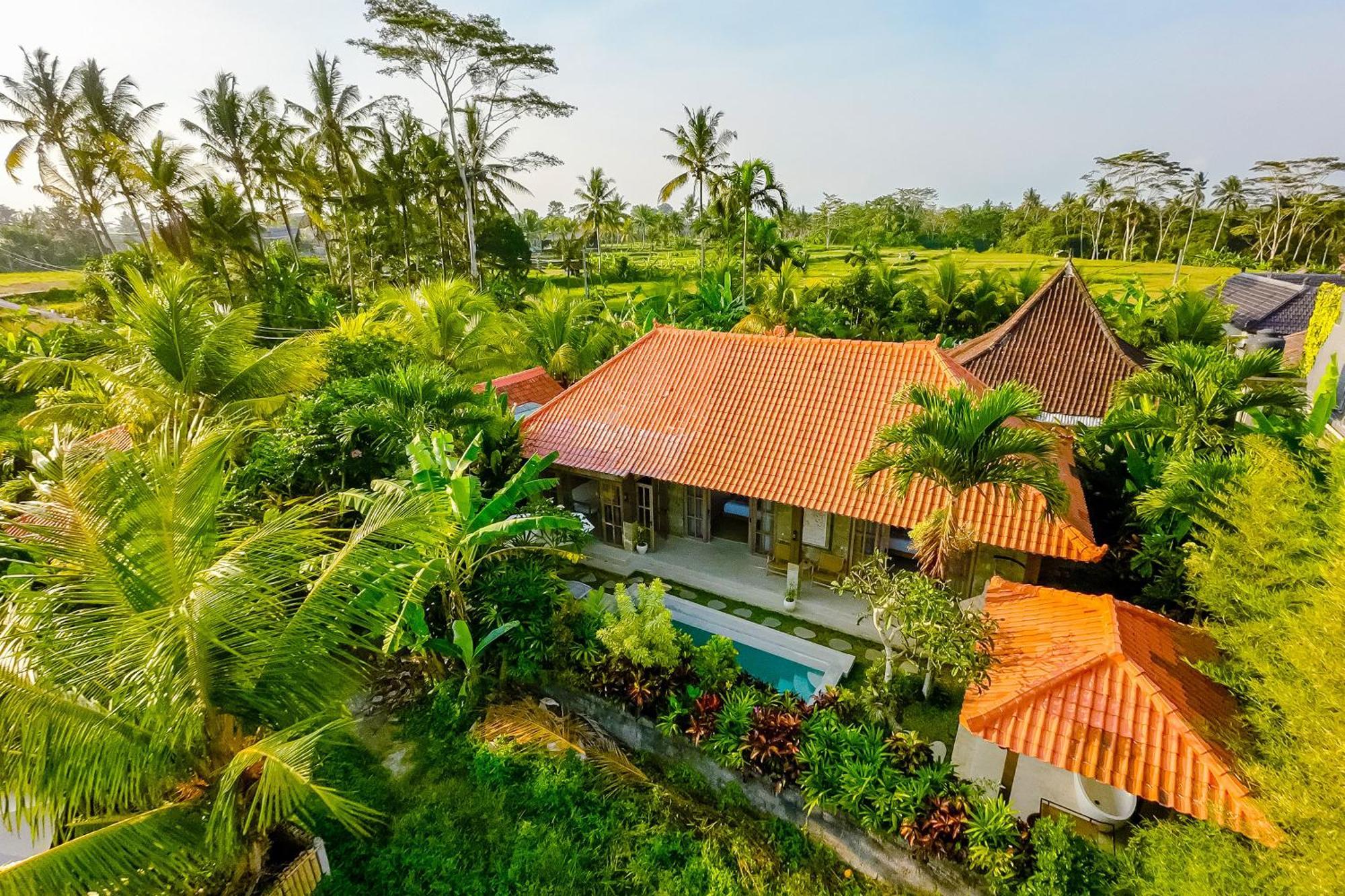 Nyaman Villas By Evdekimi Ubud Dış mekan fotoğraf